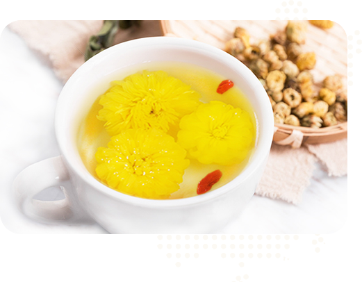 始建于2015年，實(shí)力雄厚